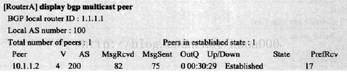 BGP路由器配置实验 bgp路由策略配置_组播_30