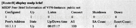 BGP路由器配置实验 bgp路由策略配置_OSPF_31