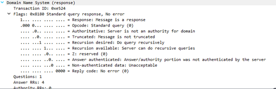 wireshark dns解析过程 wireshark抓包dns报文分析_网络_03
