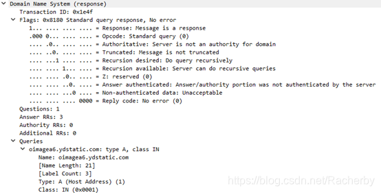 wireshark dns解析过程 wireshark抓包dns报文分析_网络_10