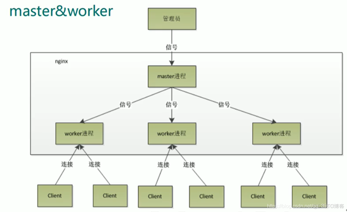 nginx搭建文件分享 nginx环境搭建_nginx_19