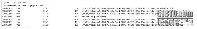 esxi 删除 虚拟机 esxi删除虚拟机文件_shell_04