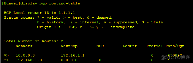 bgp组网案例 bgp实例_OSPF_04