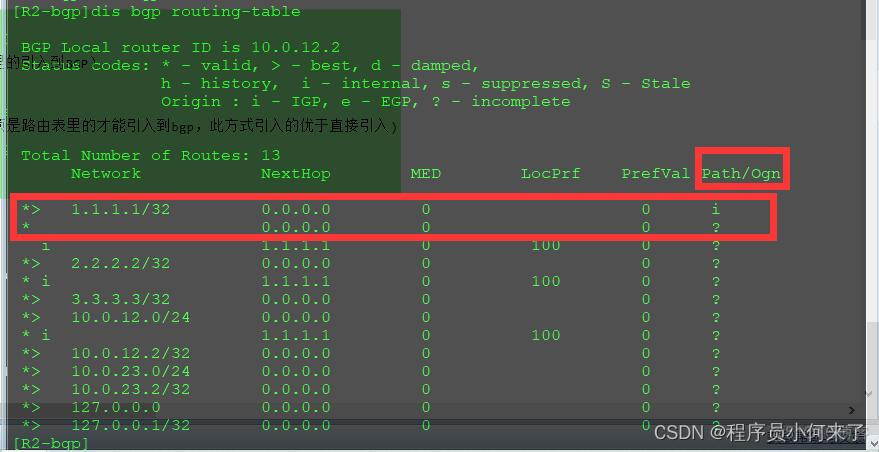 BGP 全互联 RR bgp lp_网络_06