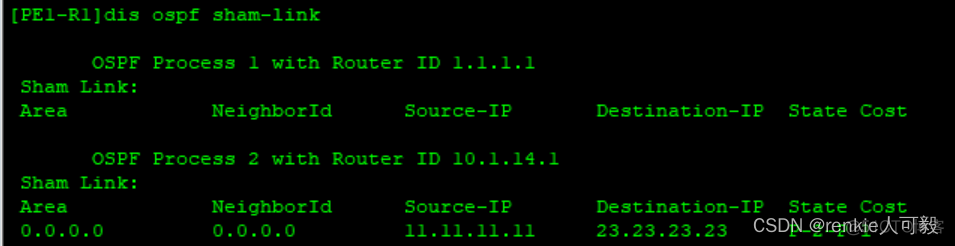 ospf sham link ospf sham link有什么用_ospf sham link_04