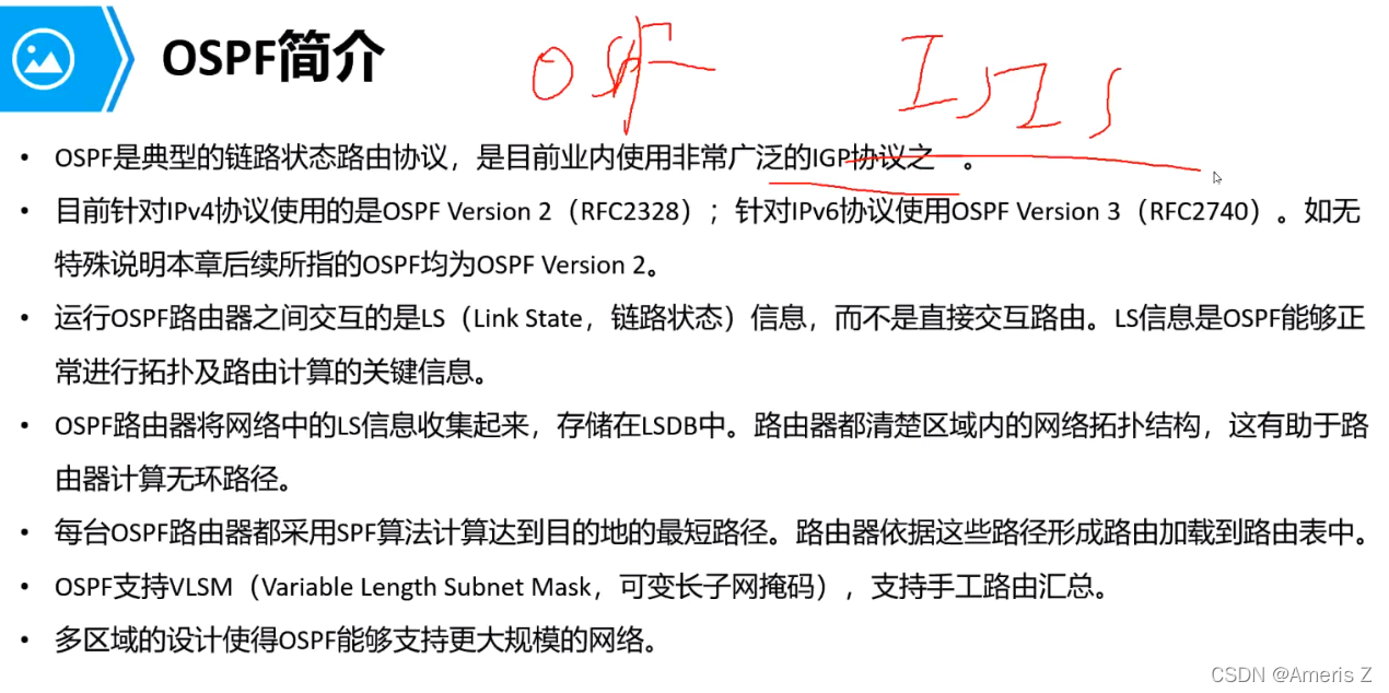 transit ospf报文 ospf报文内容_链路_13