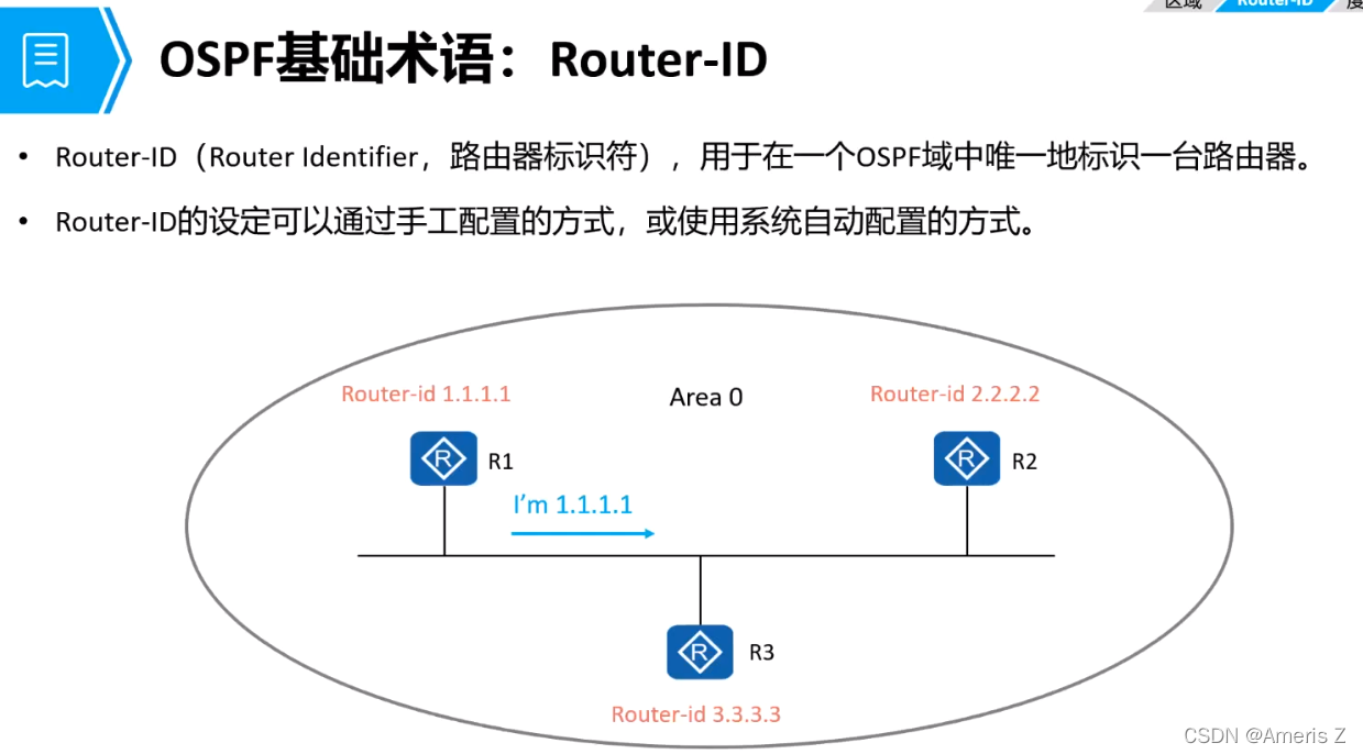 transit ospf报文 ospf报文内容_链路_16