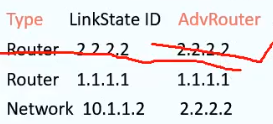 transit ospf报文 ospf报文内容_p2p_24