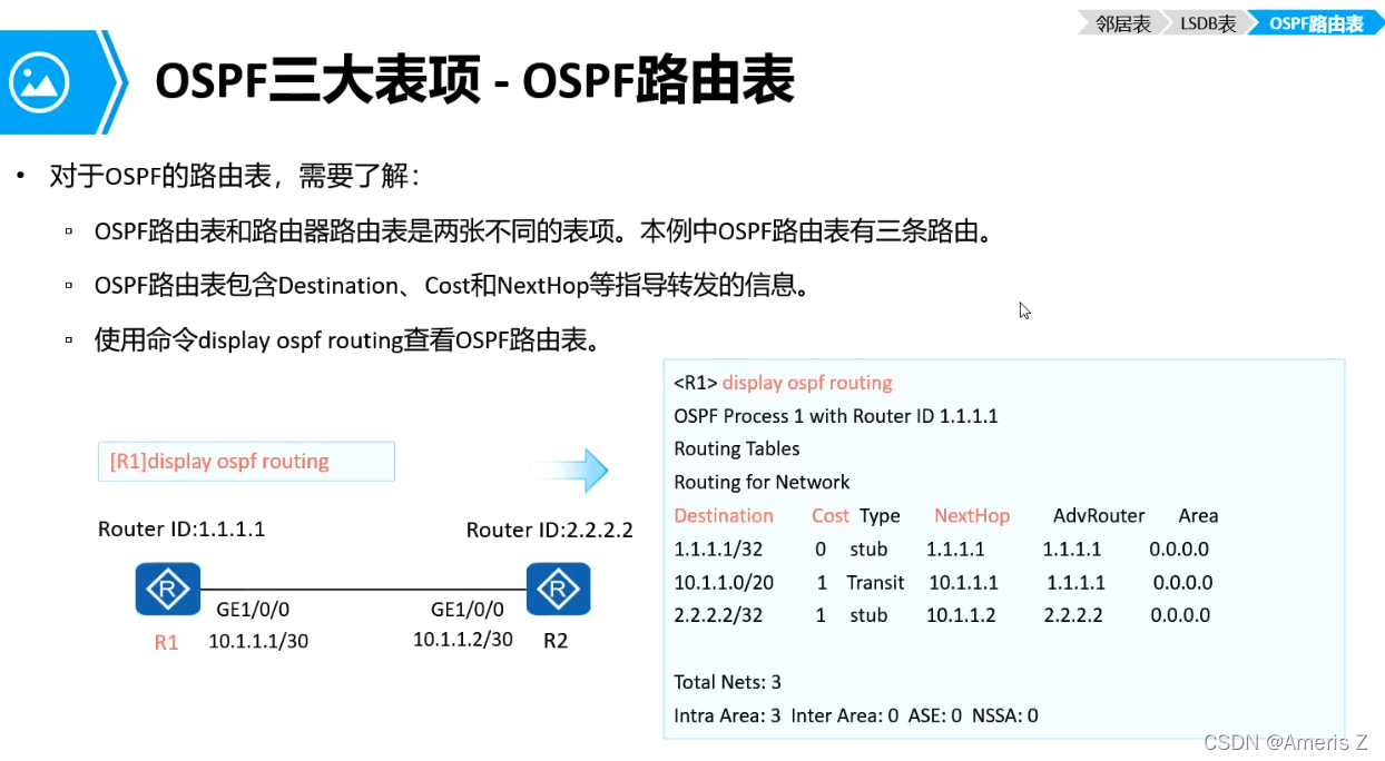 transit ospf报文 ospf报文内容_网络_25