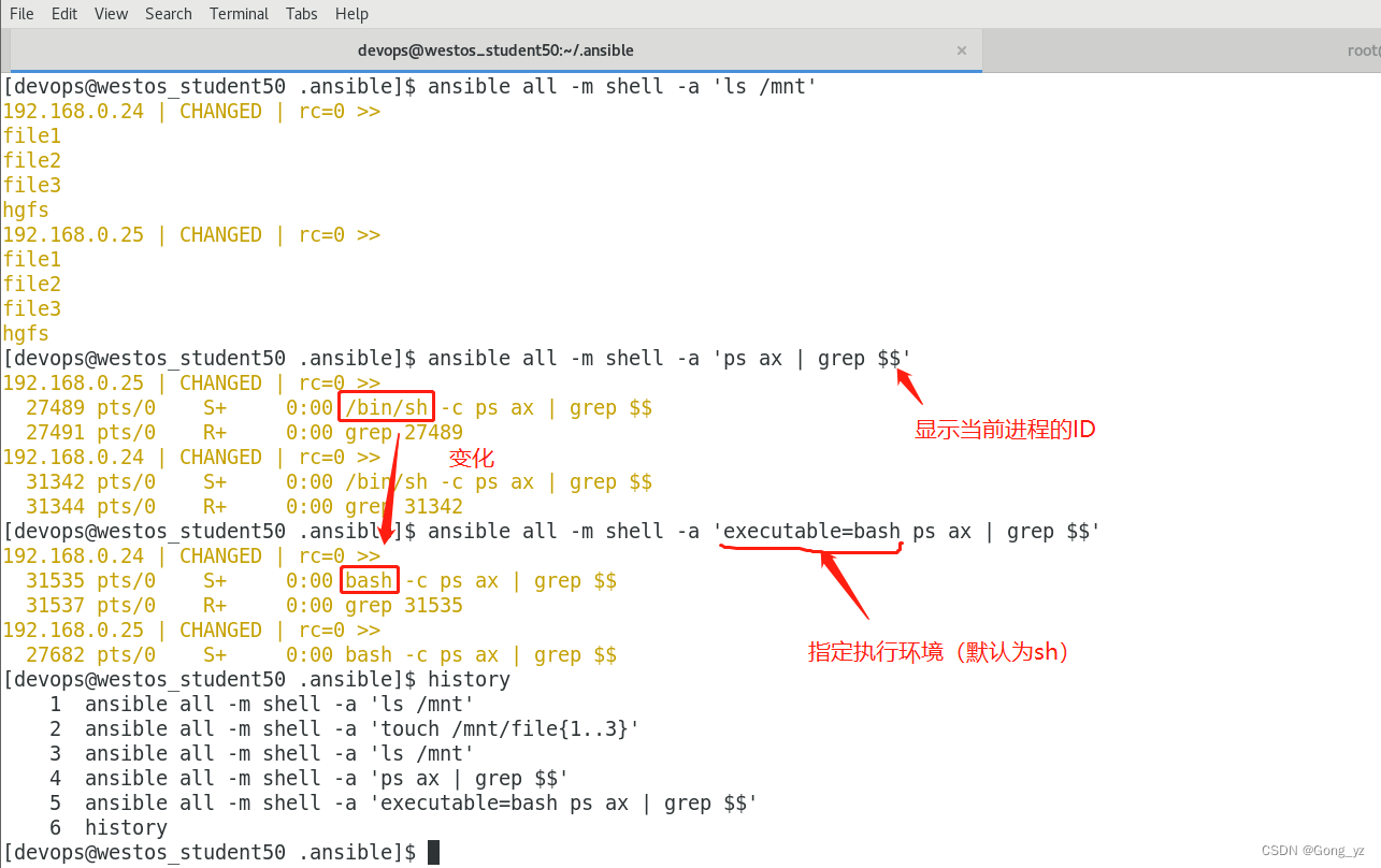 ansible 项目结构 ansible常用模块有哪些_ansible_06