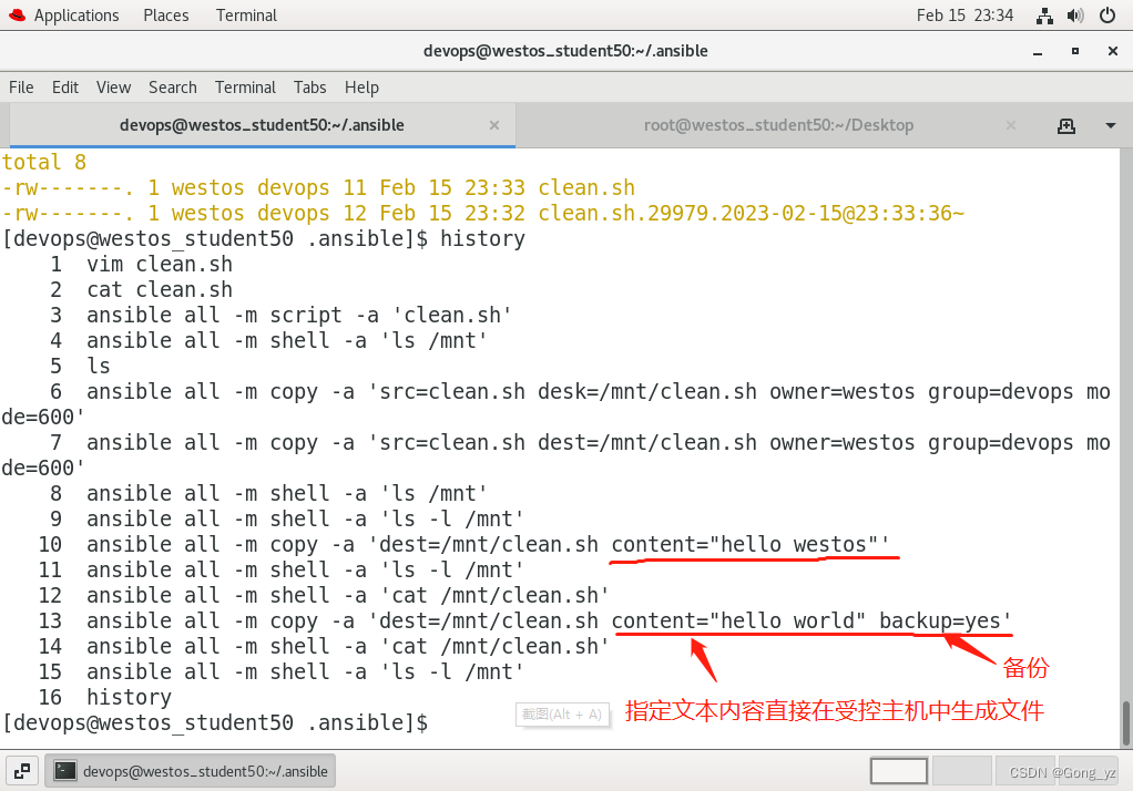 ansible 项目结构 ansible常用模块有哪些_ansible_08