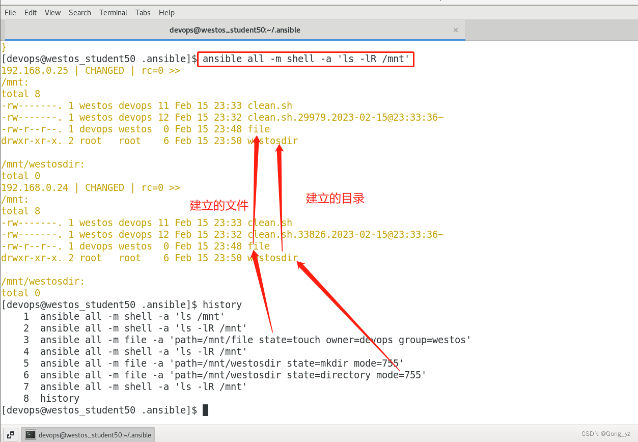 ansible 项目结构 ansible常用模块有哪些_人工智能_11