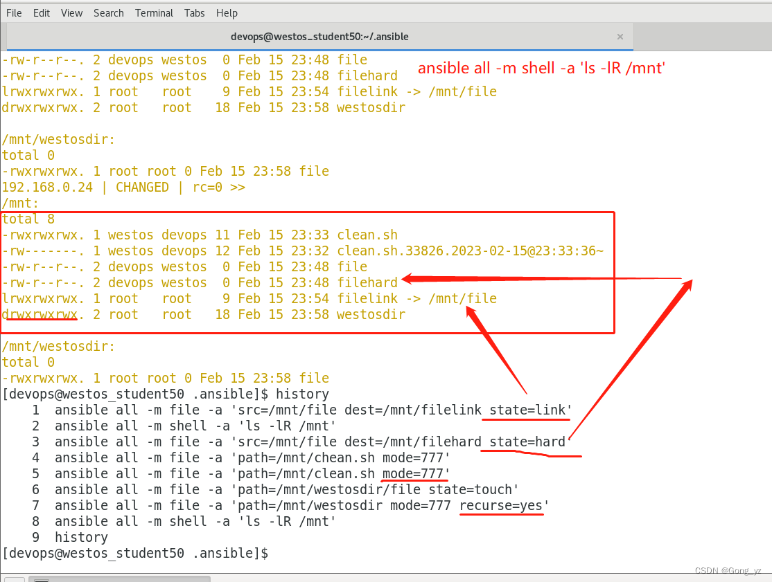 ansible 项目结构 ansible常用模块有哪些_hive_12