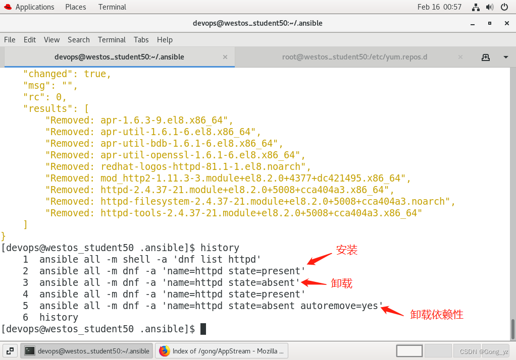 ansible 项目结构 ansible常用模块有哪些_人工智能_18