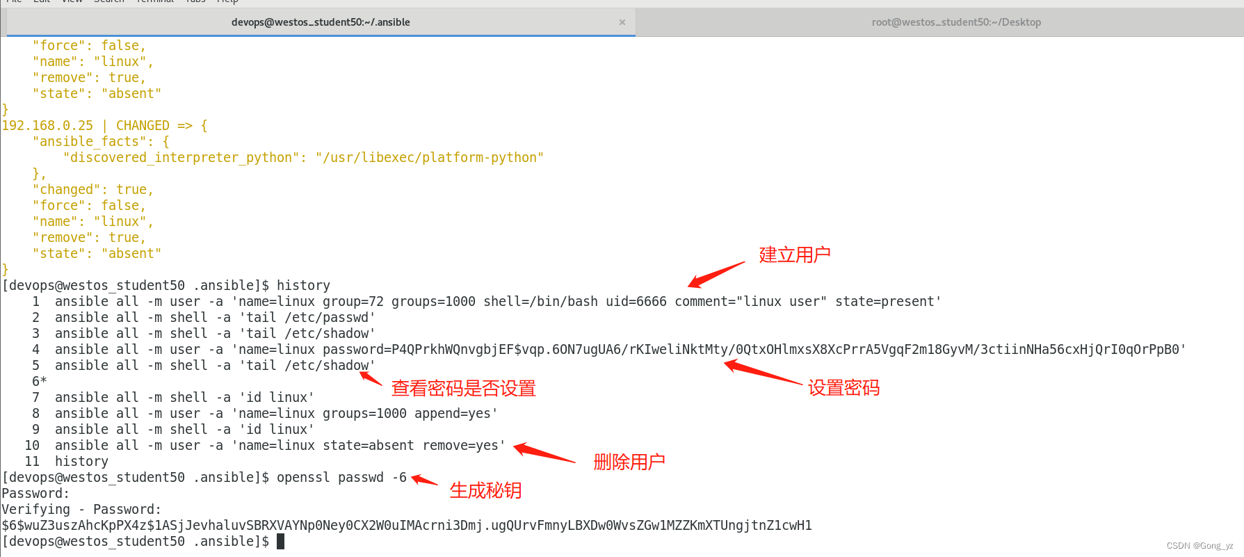 ansible 项目结构 ansible常用模块有哪些_人工智能_24