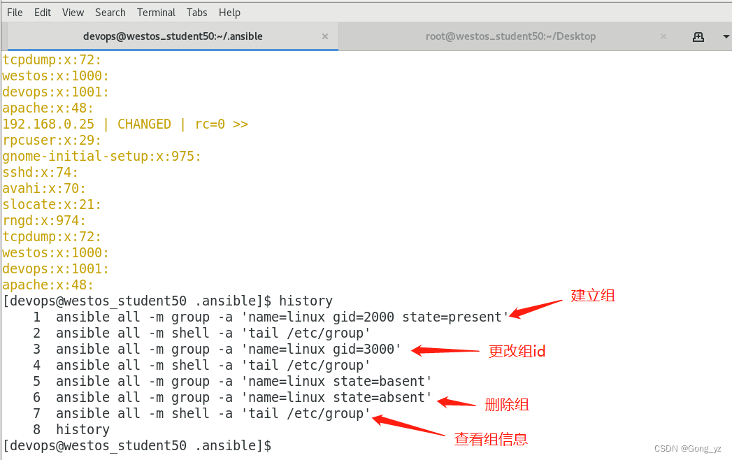 ansible 项目结构 ansible常用模块有哪些_ansible_25