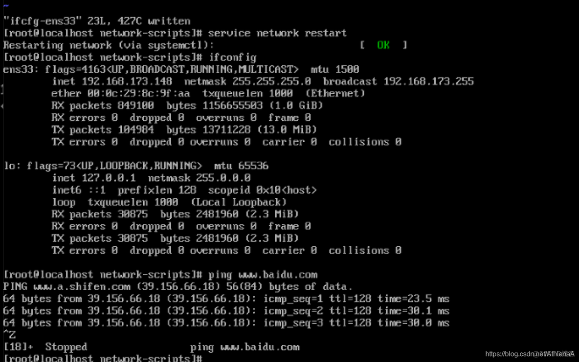 给容器配置静态ip 静态ip搭建_Nginx_13