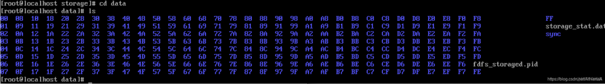 给容器配置静态ip 静态ip搭建_Nginx_50