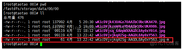 给容器配置静态ip 静态ip搭建_nginx_90