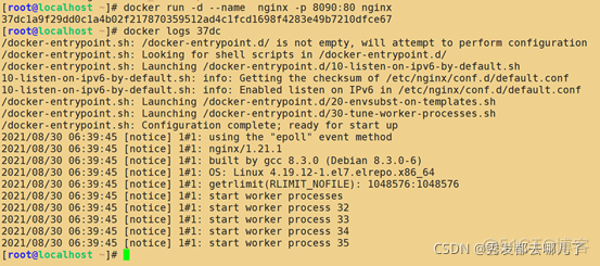 容器 镜像 容器 镜像预热_docker_13