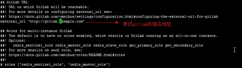 gitlab git clone ip修改 gitlab 修改配置_ico_03