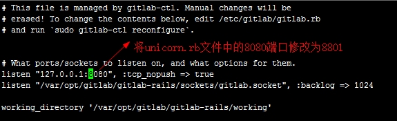 gitlab git clone ip修改 gitlab 修改配置_git_06