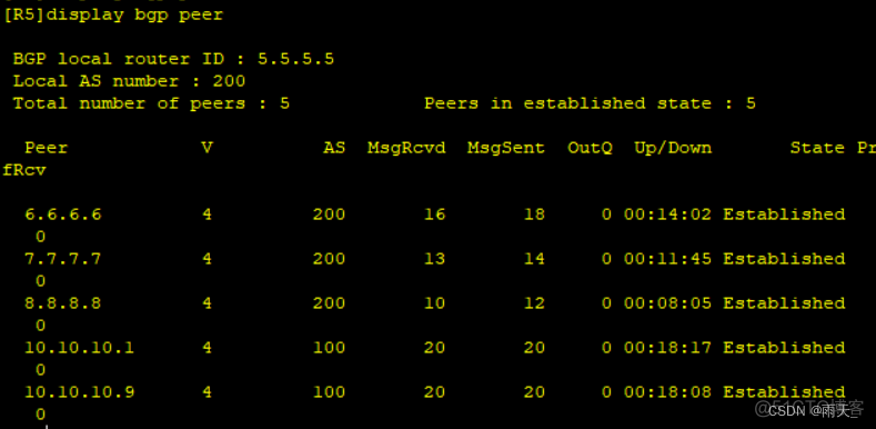 ccie bgp实验 bgp综合实验_服务器_24