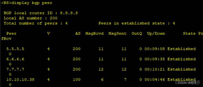 ccie bgp实验 bgp综合实验_服务器_27