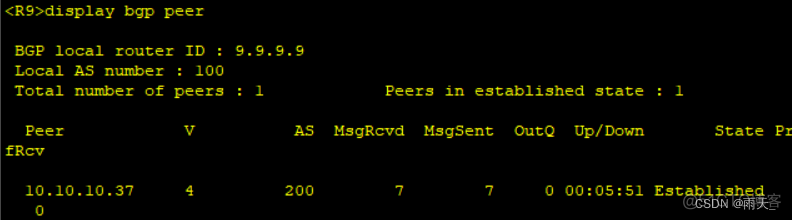 ccie bgp实验 bgp综合实验_服务器_28