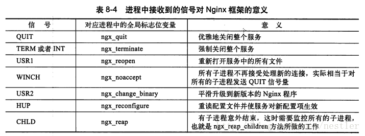 nginx 启动前端 nginx启动流程_配置项_04