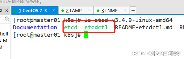 二进制部署的prometheus 监控k8s 二进制搭建kubernetes_linux_23