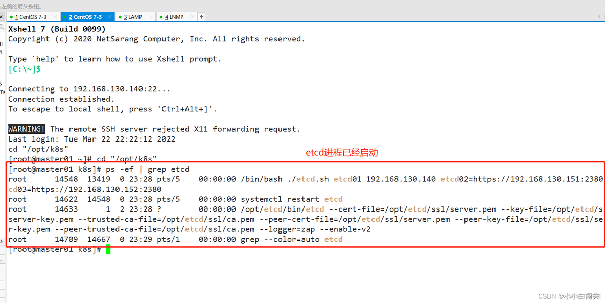 二进制部署的prometheus 监控k8s 二进制搭建kubernetes_linux_28