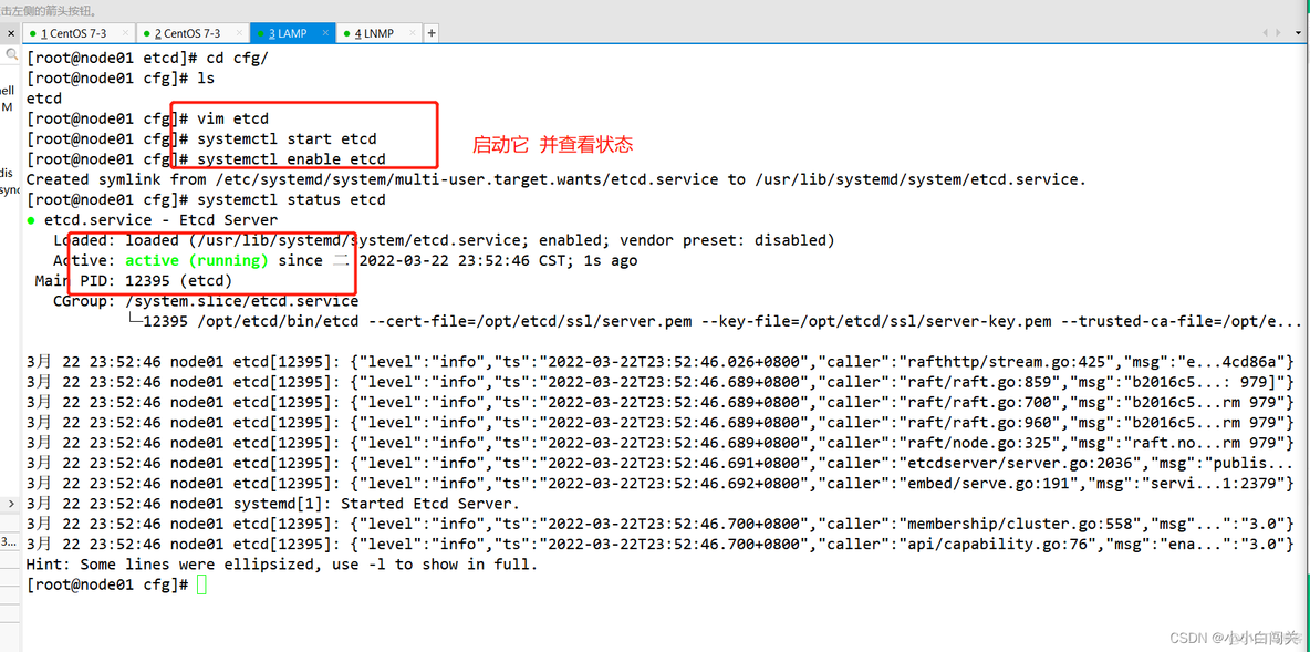 二进制部署的prometheus 监控k8s 二进制搭建kubernetes_docker_36