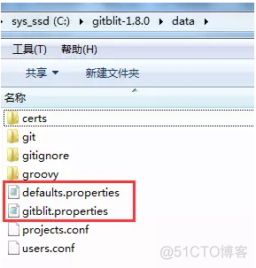 windows搭建局域网gitlab 局域网搭建github服务器_windows搭建局域网gitlab_02