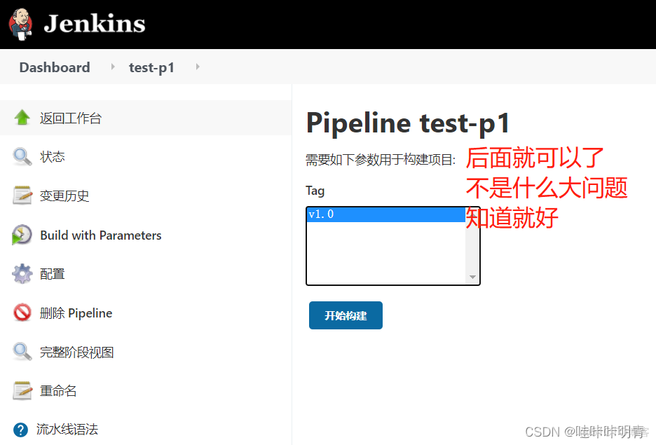 jenkins input插件 jenkins script pipeline_jenkins_47