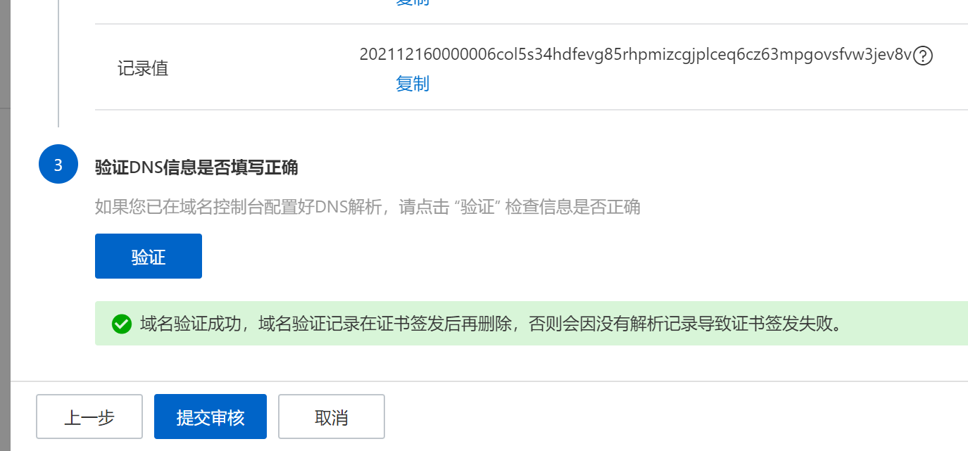 部署springboot配置域名 springboot配置域名和证书_部署springboot配置域名_08