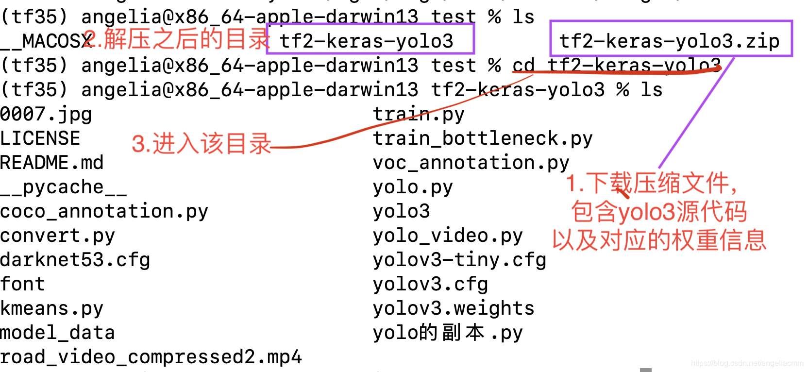 yolov 目标检测fps越大越好吗 yolov3目标检测完整步骤_神经网络