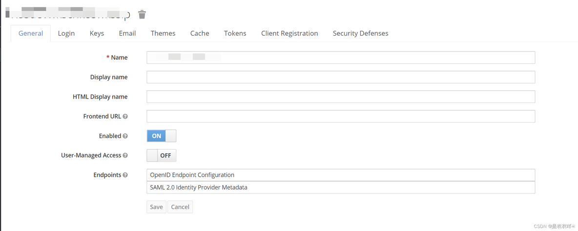 springboot 如何指定实体类某些字段禁用 springboot keycloak_客户端_02