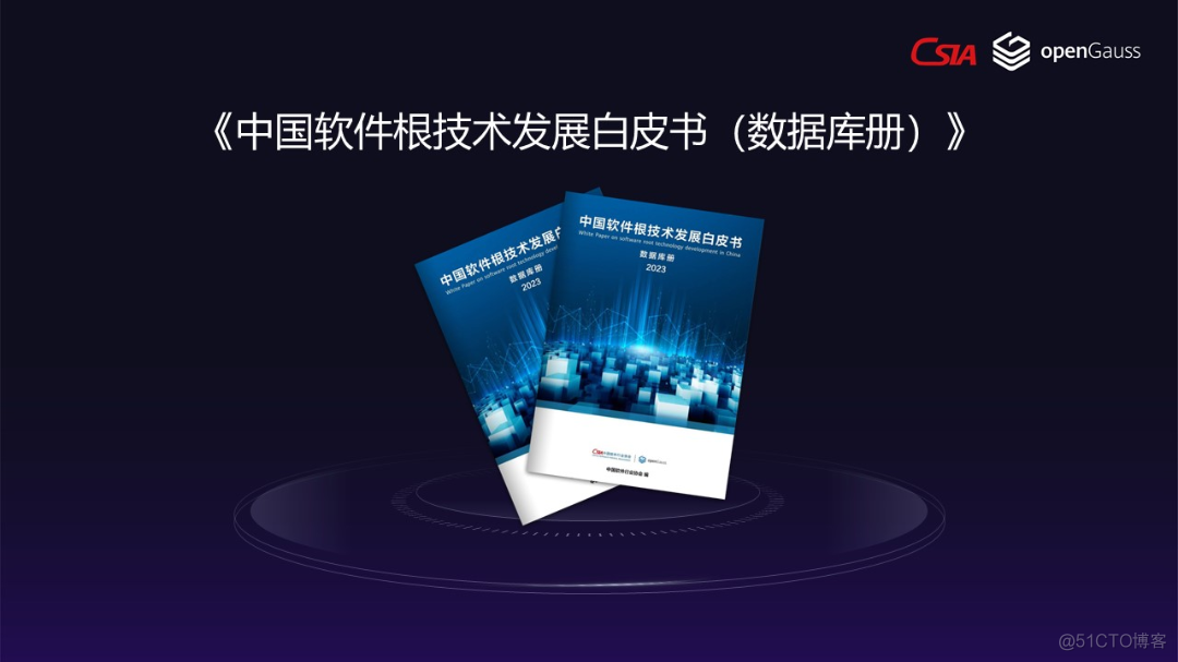 openGauss系新增市场份额达21.9%，跨越生态拐点_数据_13