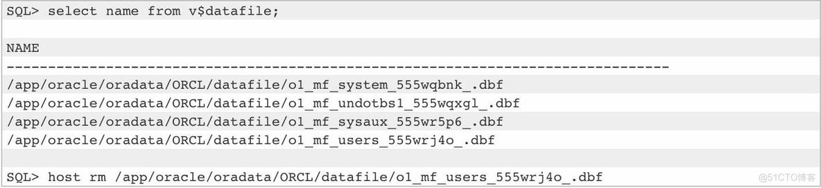 How to Recover Datafile Which Deleted Accidentally in Linux_linux_02