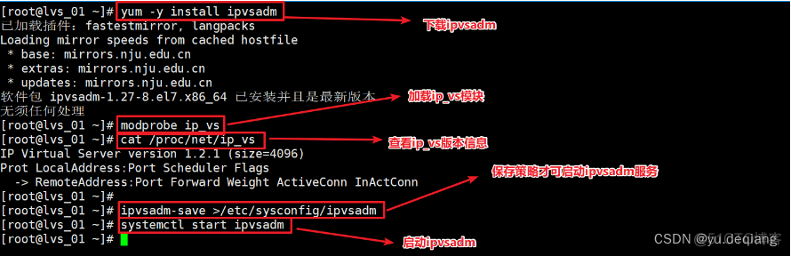 lvs dr模式搭建 lvs部署dr_Server_03