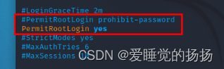 arm 拉取得镜像是x86 kali arm镜像_重启_16