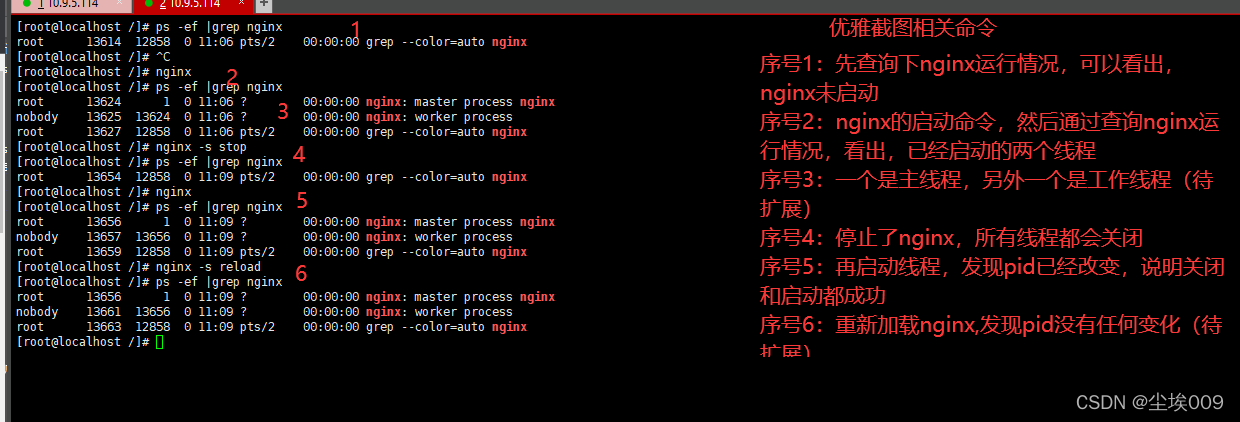 nginx arm手动安装 nginx1.20安装_java_06