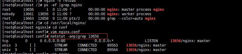 nginx arm手动安装 nginx1.20安装_vim_08