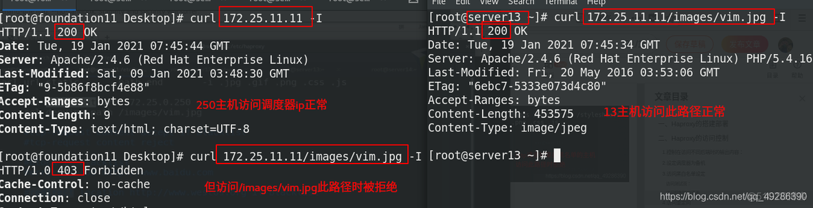 haproxy 负载nfs haproxy -f_负载均衡_22