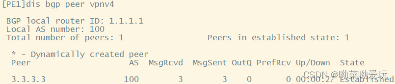 mpls bgp mpls bgp华三_OSPF_05