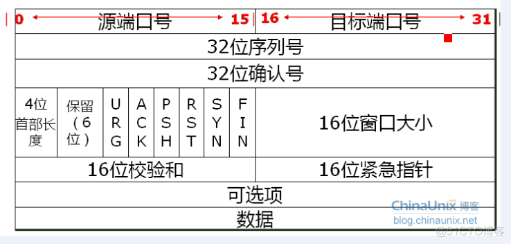 网络层一定要有激活函数吗 网络层包含_客户端_04