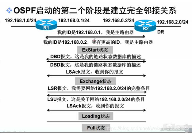 dis ospfv3 lsdb link option 意思 ospf中的lsdb是什么_链路_05