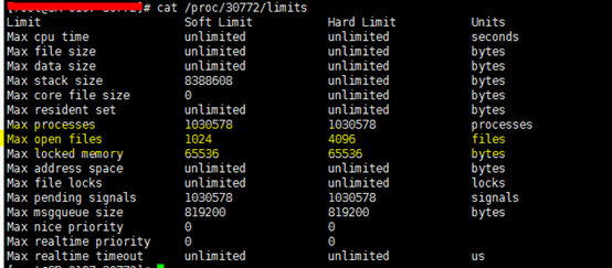 springboot mongo默认最大连接数 mongodb最大连接数_最大连接数_13