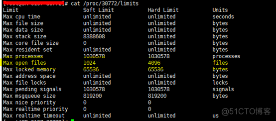 springboot mongo默认最大连接数 mongodb最大连接数_连接数_13